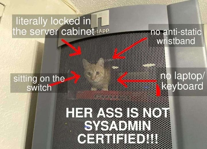 Cat in server cabinet meme